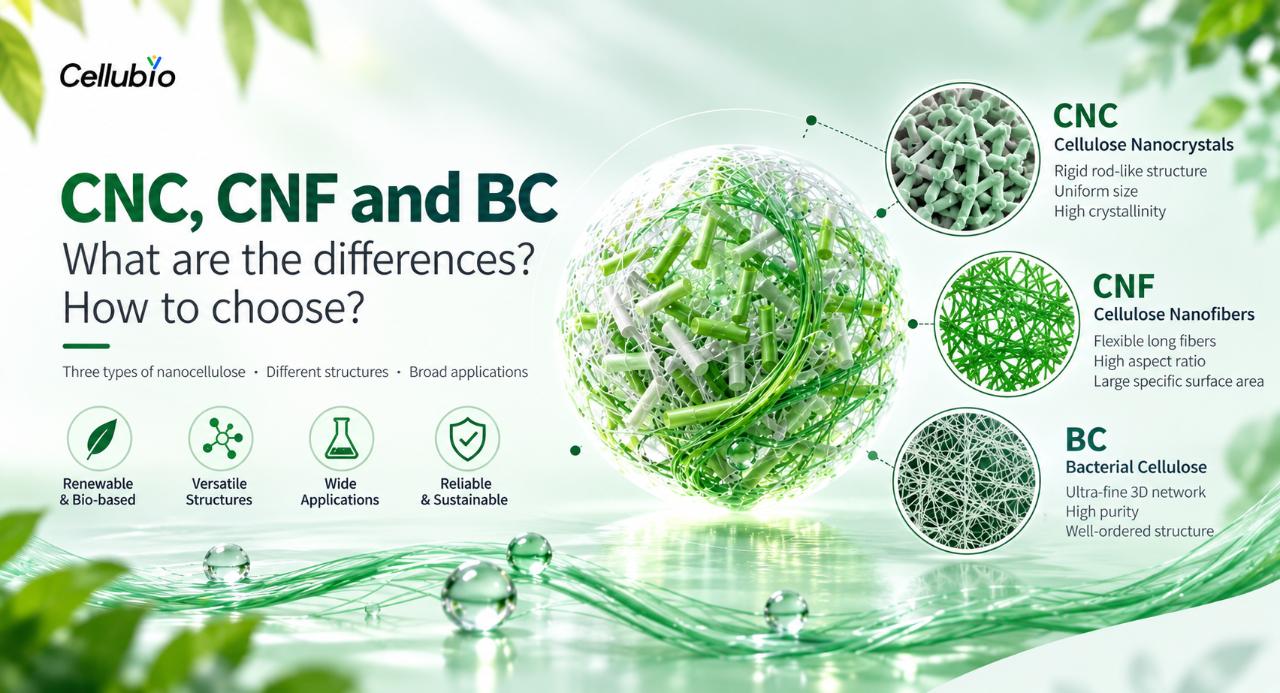 What Are the Differences Between CNC, CNF, and BC? How Should You Choose?