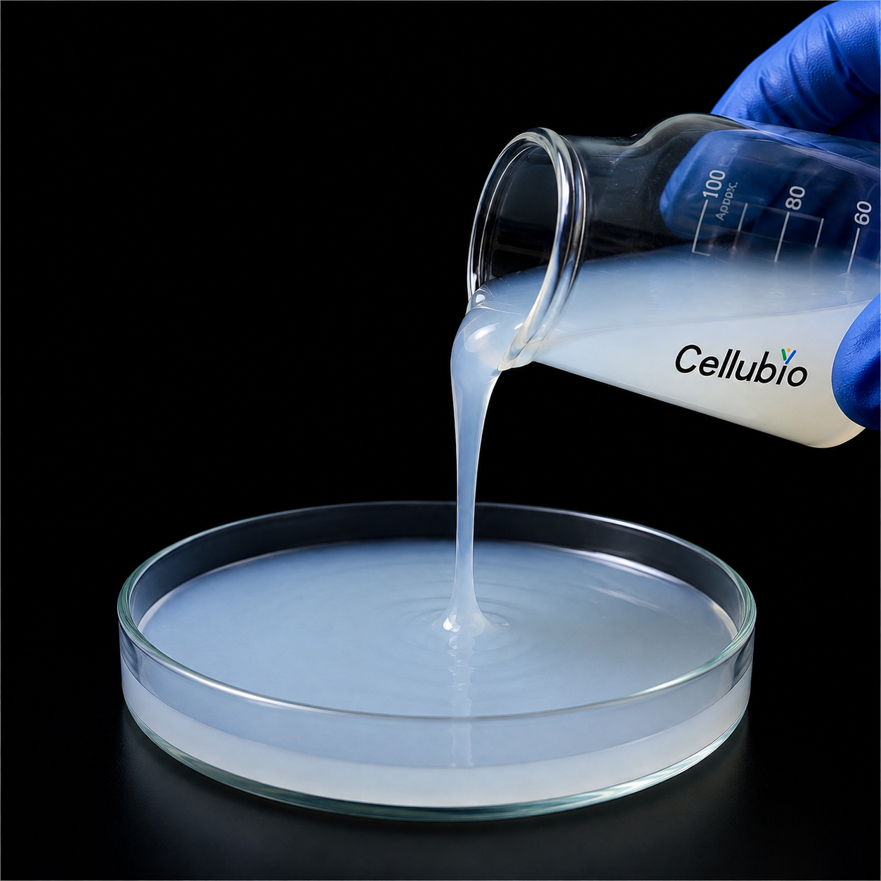 Carboxylated Cellulose Nanocrystals