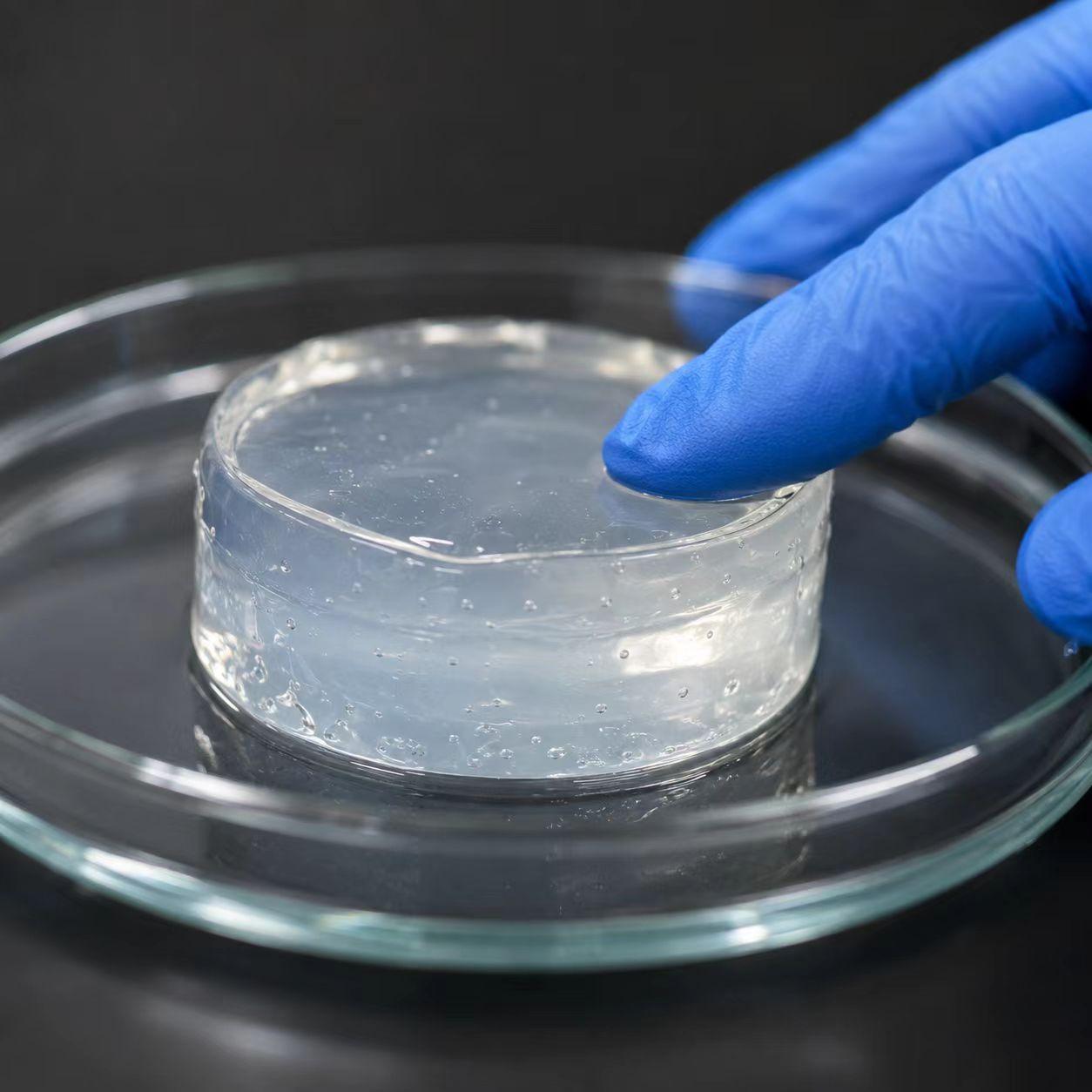 Carboxylated Cellulose Nanofibrils