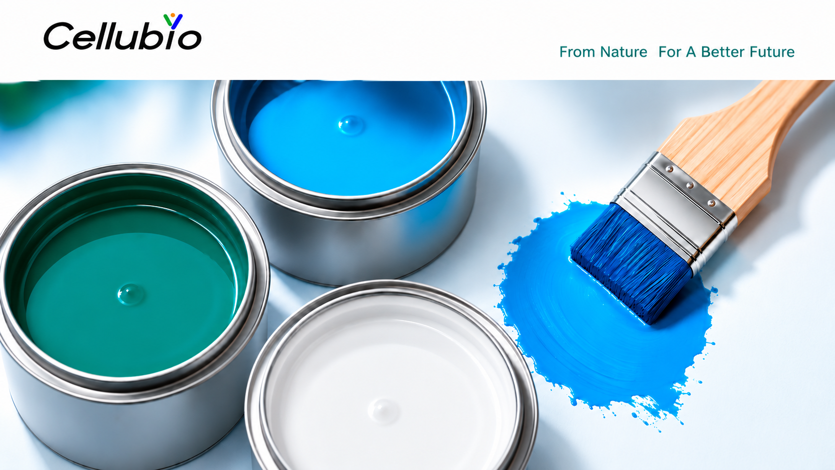 Advances in the Application of CNF in Water-Based Coatings and Inks