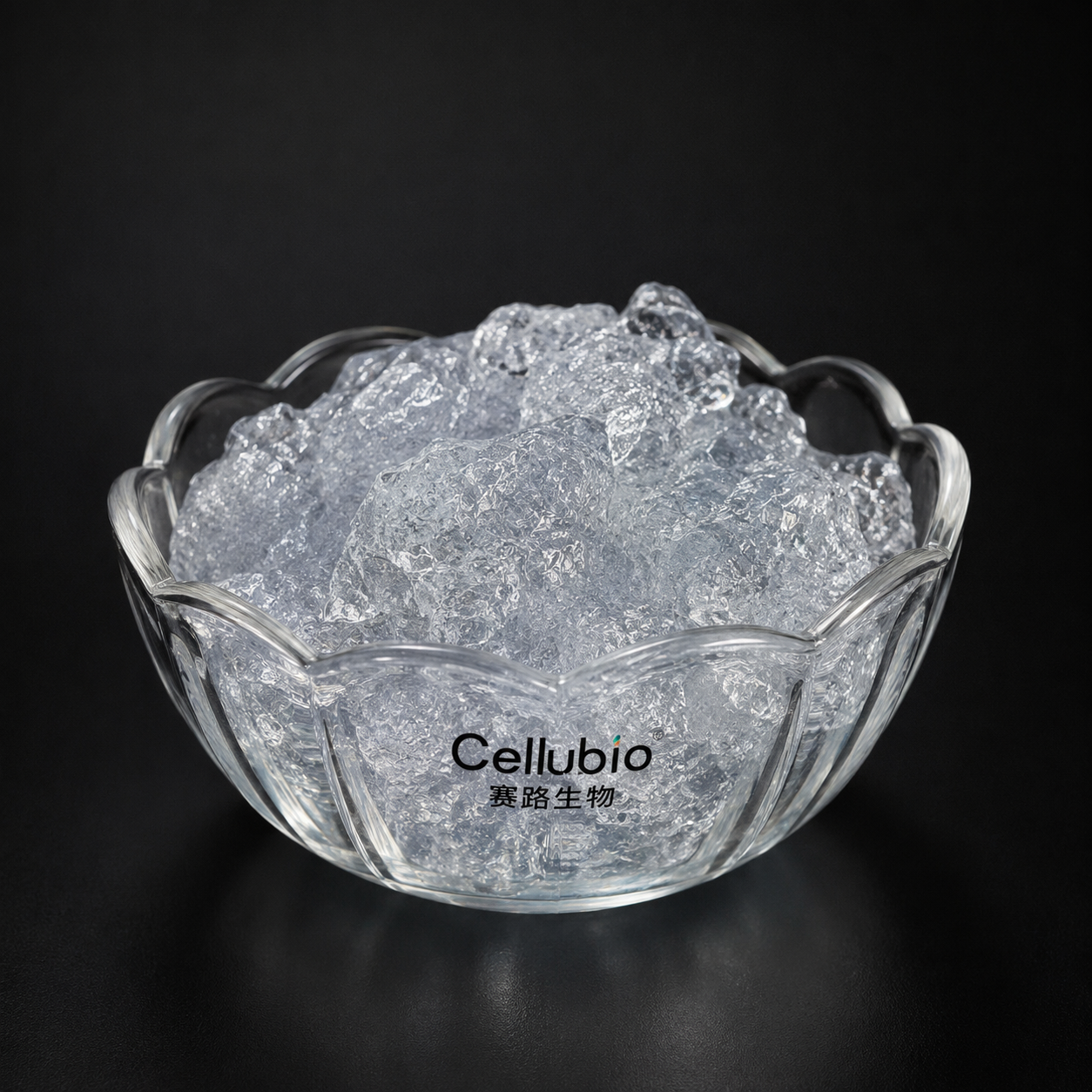 Cationic Cellulose Nanofibrils