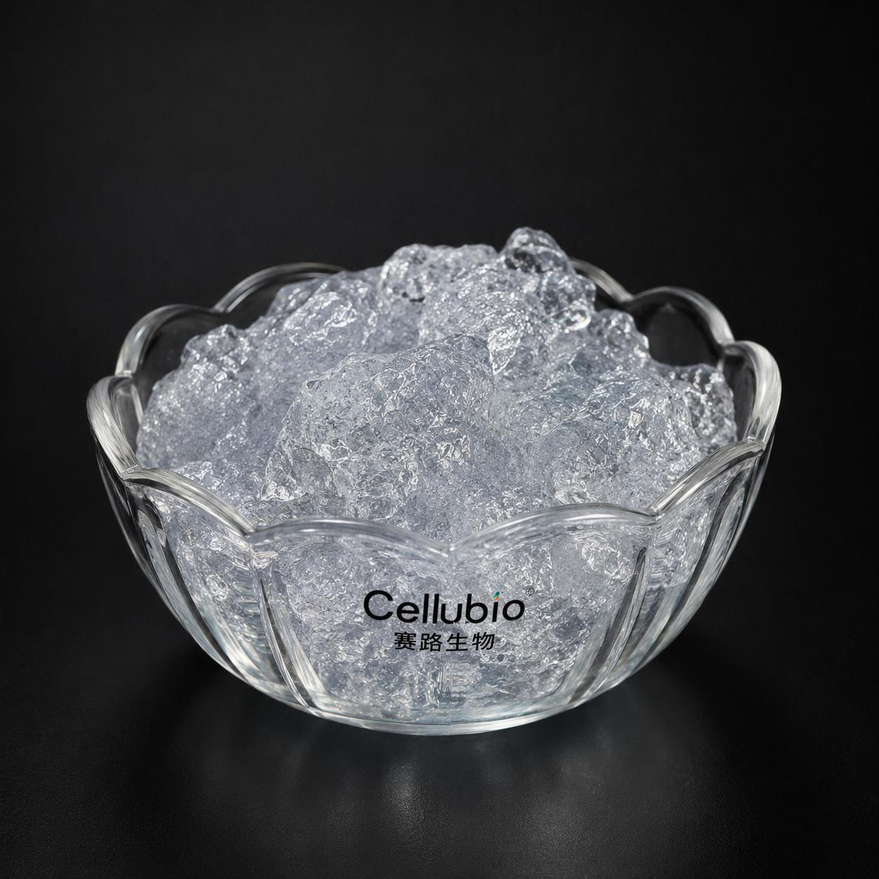 Cationic Cellulose Nanofibrils