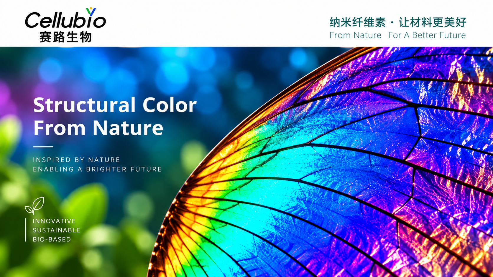 纤维素纳米晶CNC结构色材料的研究与应用进展
