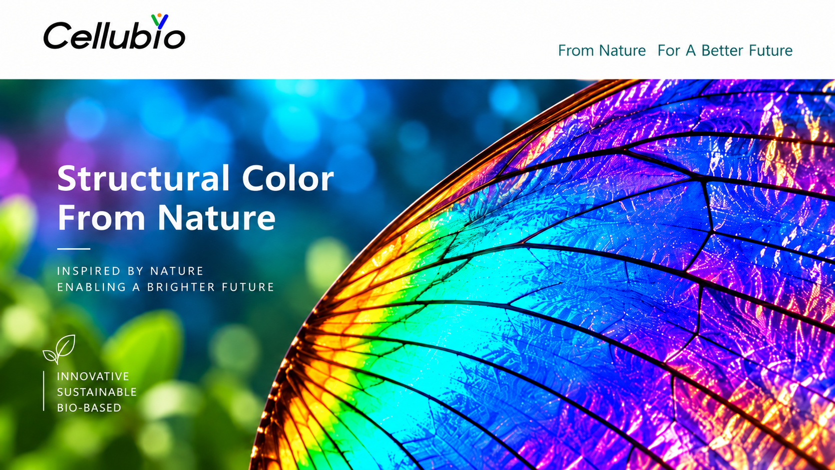 Research and Application Progress of CNC Structural Color Materials