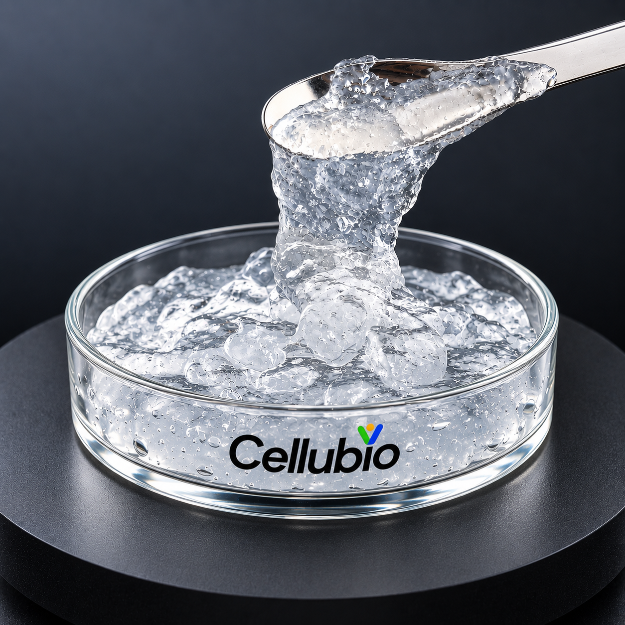 Bamboo-Derived Cellulose Nanofibrils