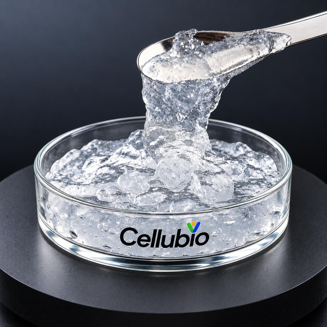 Bamboo-Derived Cellulose Nanofibrils