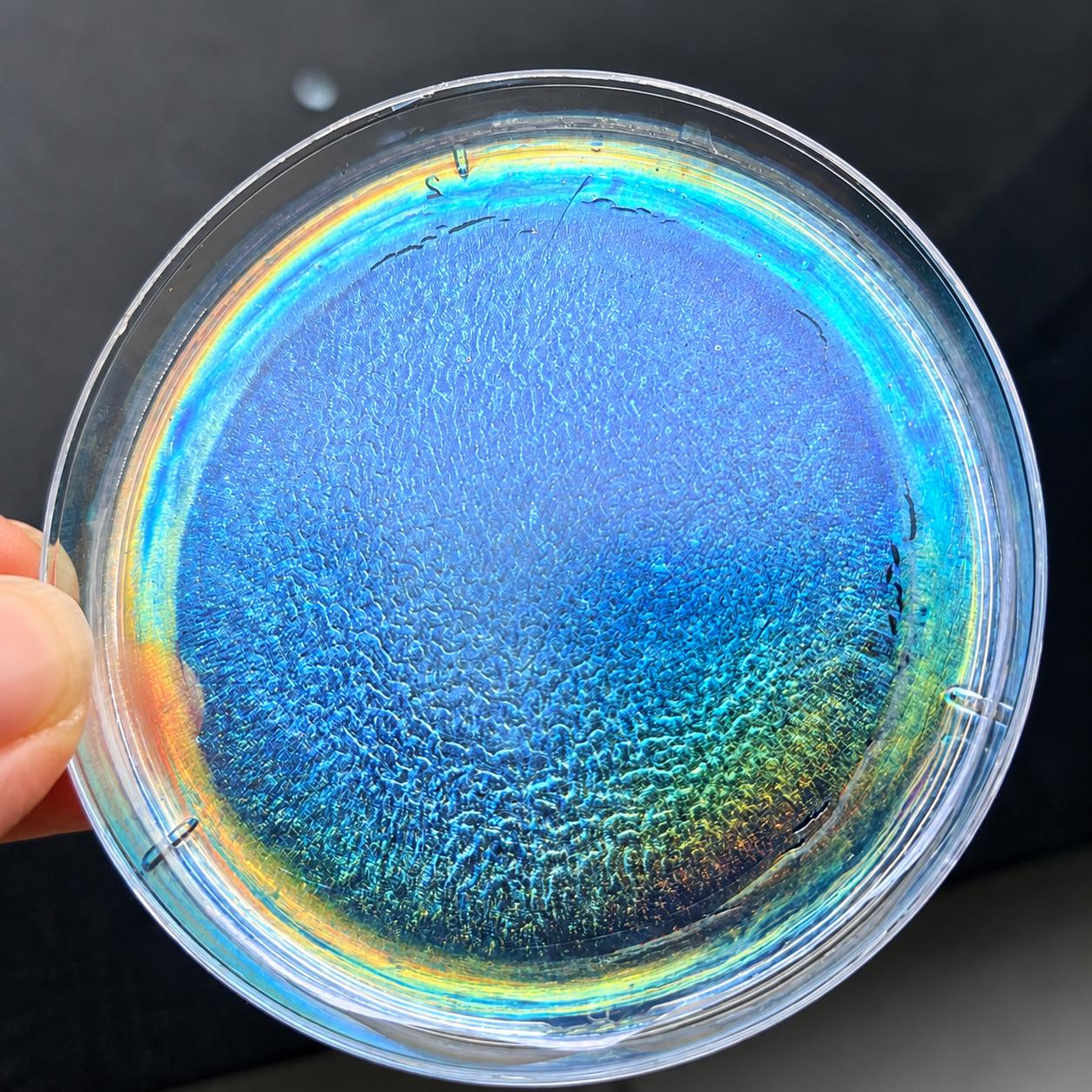 Cellulose Nanocrystals for Structural Color