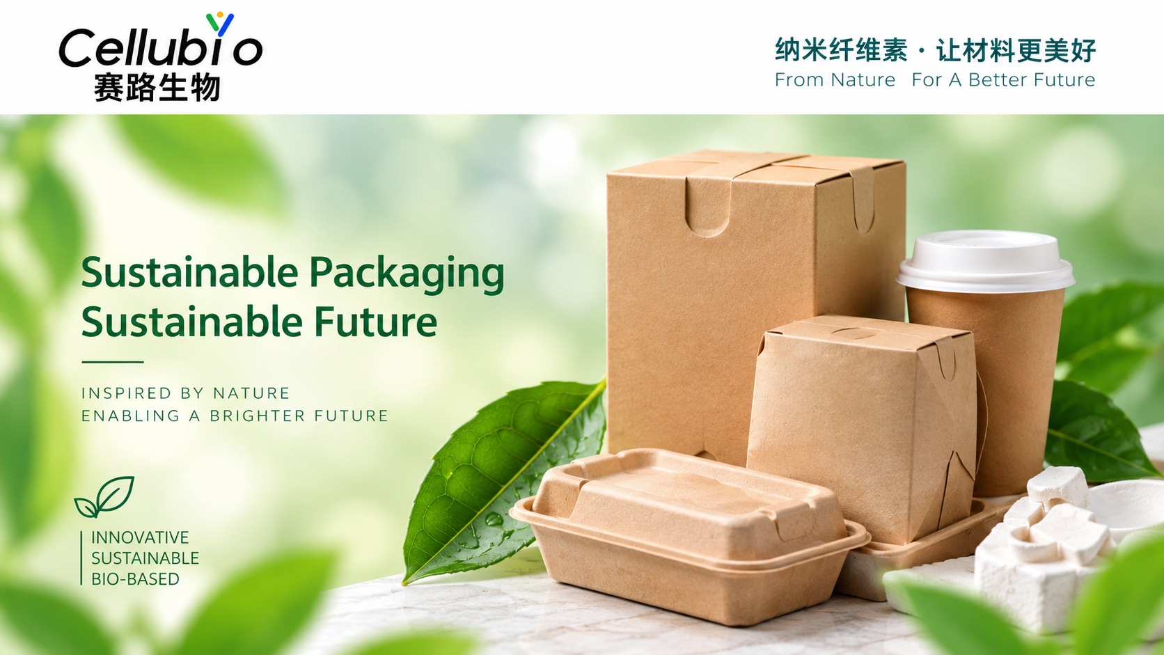 纳米纤维素在可持续包装材料中的应用进展